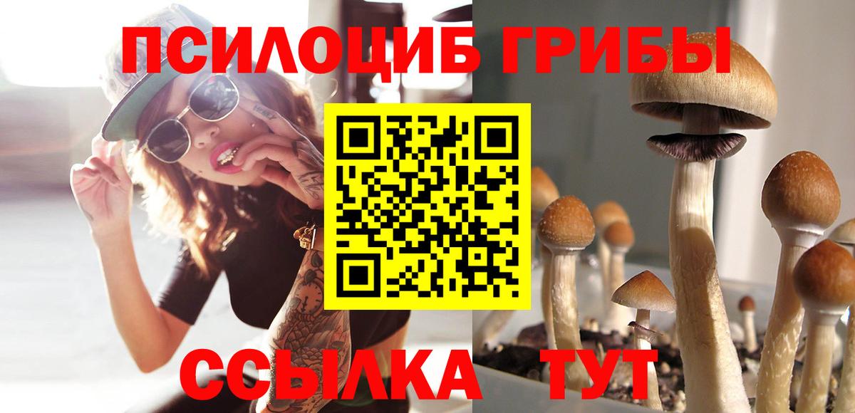 магазин продажи наркотиков  Вход с VPN  Симферополь  Галлюциногенные грибы мицелий 